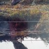 20191003_081955