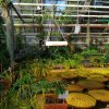 img-20191205-wa0014
