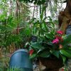 img-20191213-wa0028