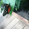 img-20191213-wa0031