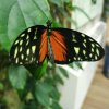 img-20191213-wa0034