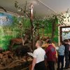 img_20191113_111859-1